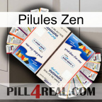 Zen Pills kamagra1